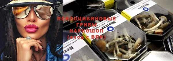 гашик Бронницы