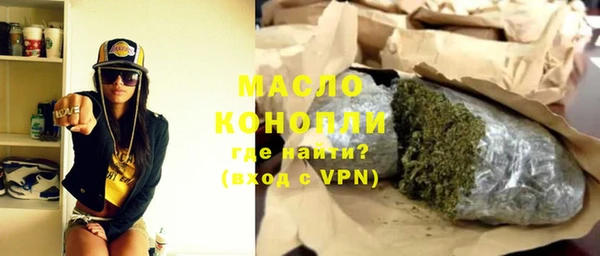 дмт Бородино