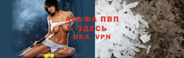 дмт Бородино