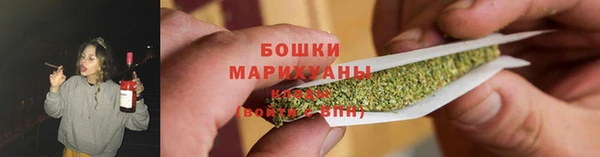 дмт Бородино