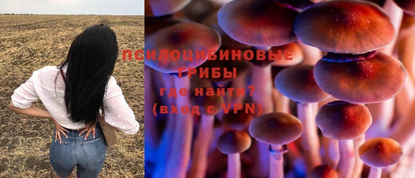 ALPHA PVP Верея