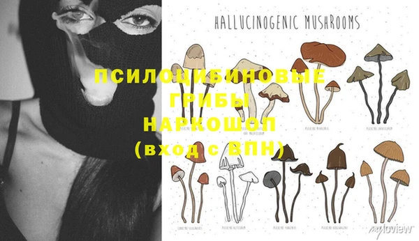 гашик Бронницы