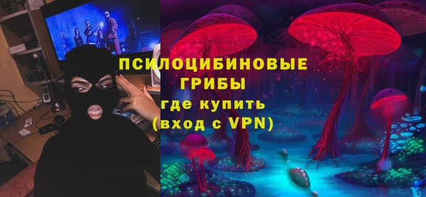 ALPHA PVP Верея