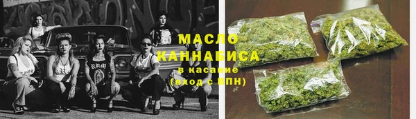 дмт Бородино