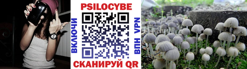 что такое наркотик  Южа  мориарти официальный сайт  Псилоцибиновые грибы прущие грибы 
